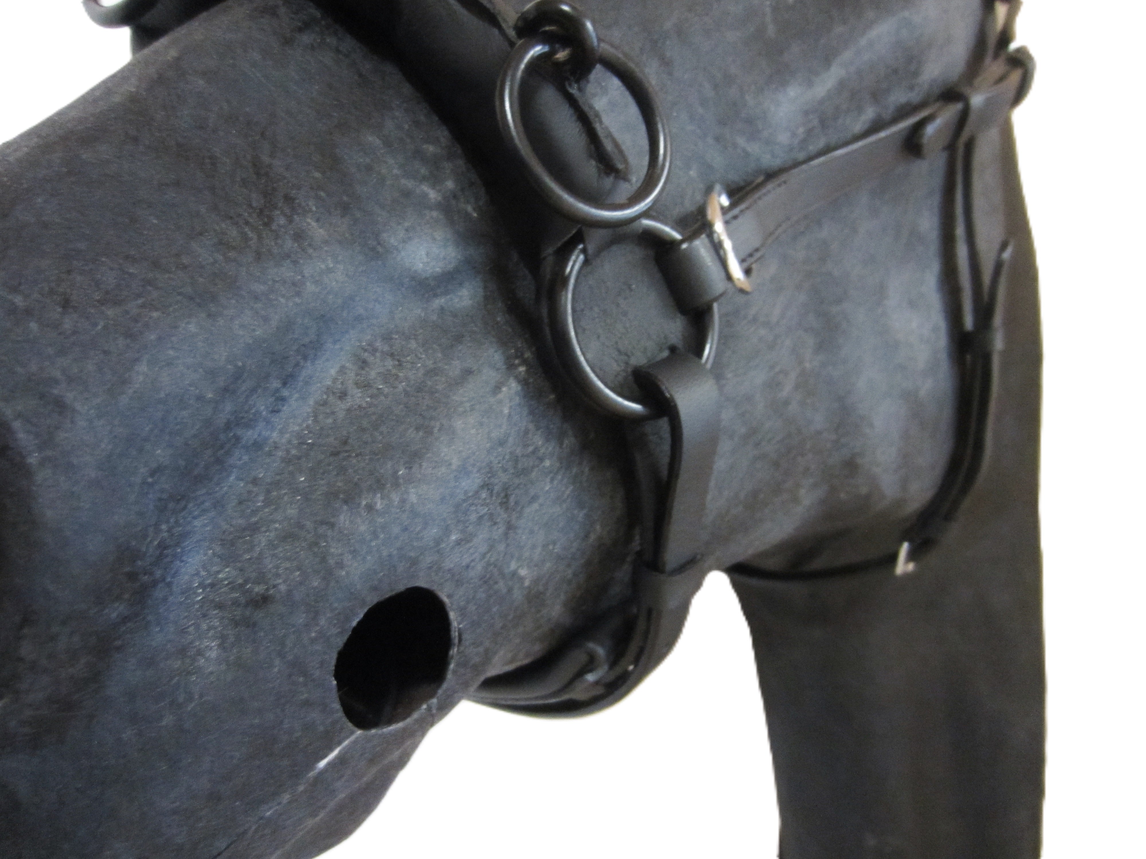 "Padded Anatomical" French cavesson Cavecon / Cavesson with D-rings