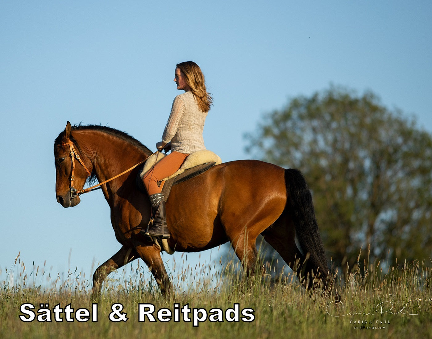 PS Pferdeartikel: Sättel & Reitpads Banner