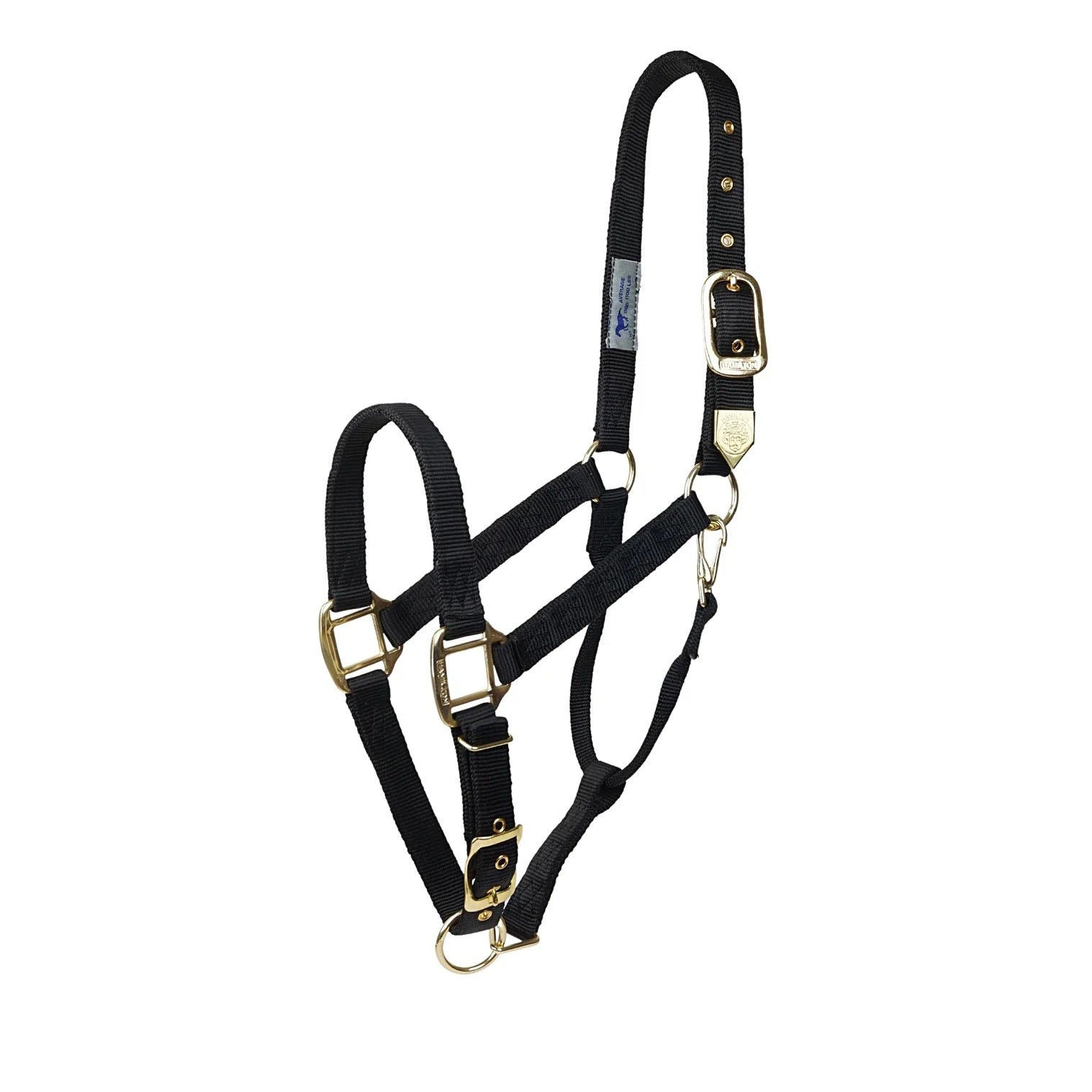 Quality stable halter from Hamilton "Premium" size. M-Small