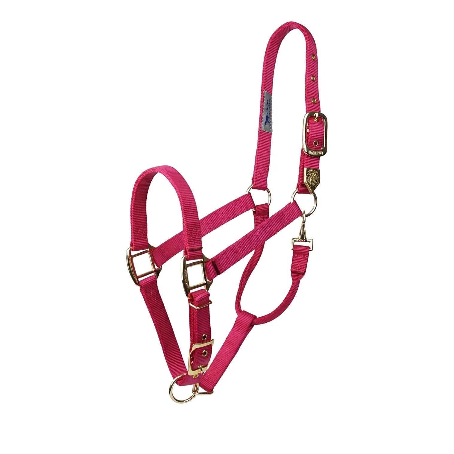 Quality stable halter from Hamilton "Premium" size. M-Small