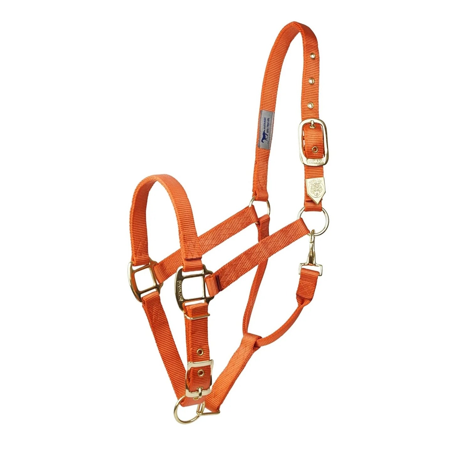 Quality stable halter from Hamilton "Premium" size. M-Small