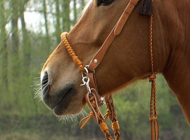 Einzelstück - Barefoot Nasenteil "Amber"