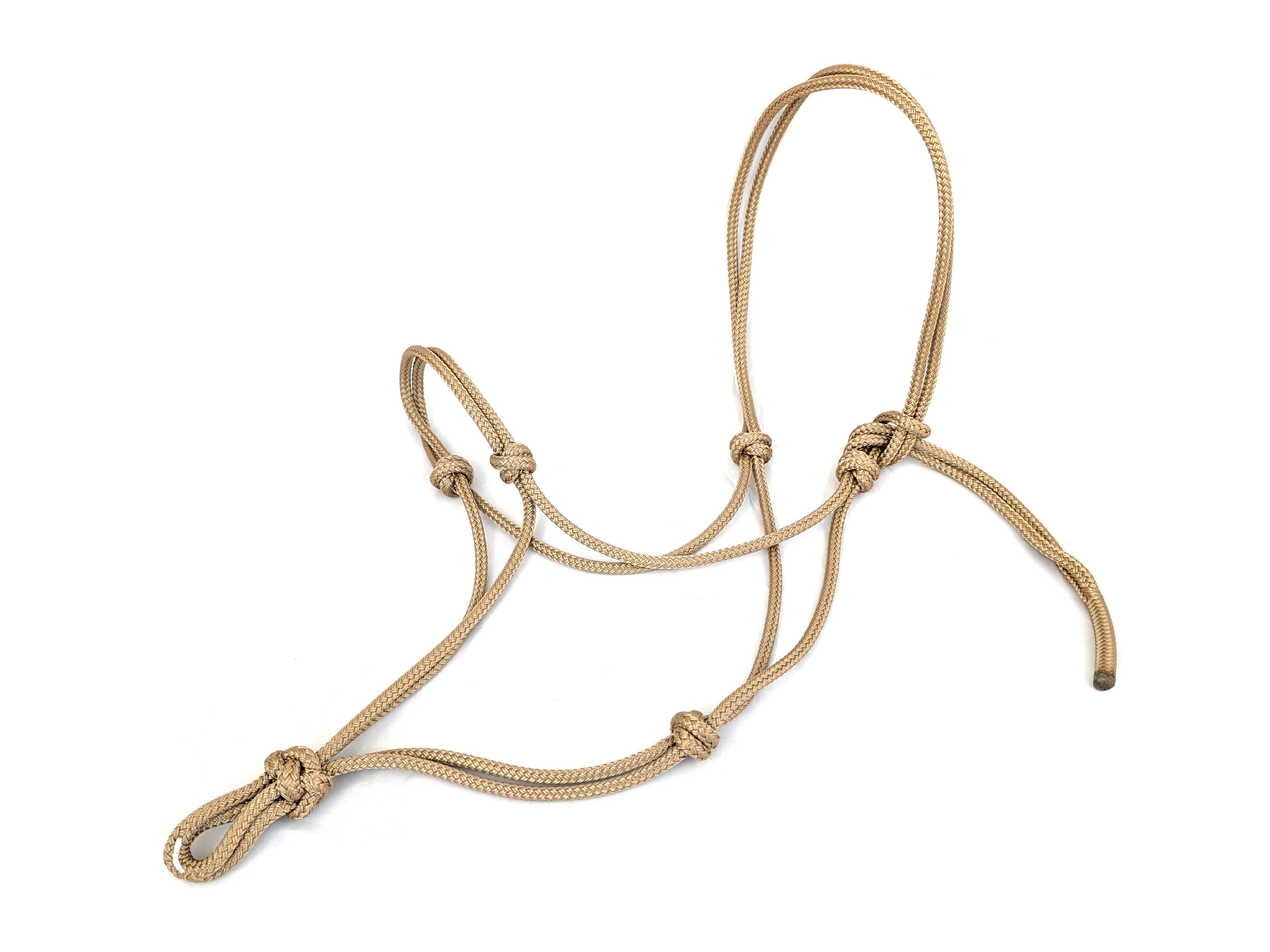 Knot halter professional - neon pink - sale