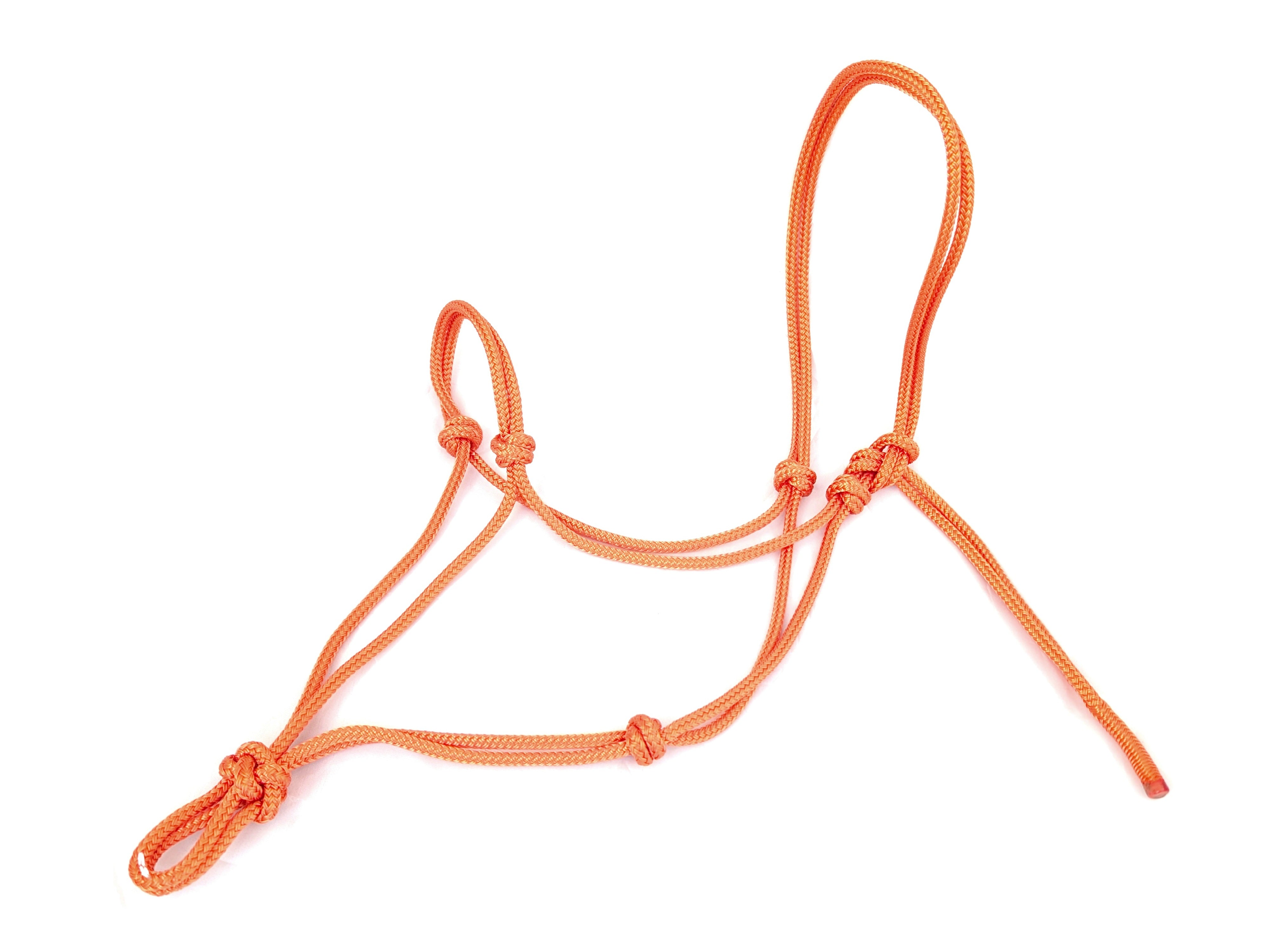 Knot halter professional - neon pink - sale