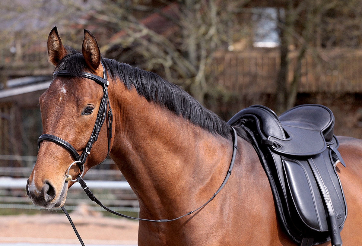 Selle pieds nus sans arçons London