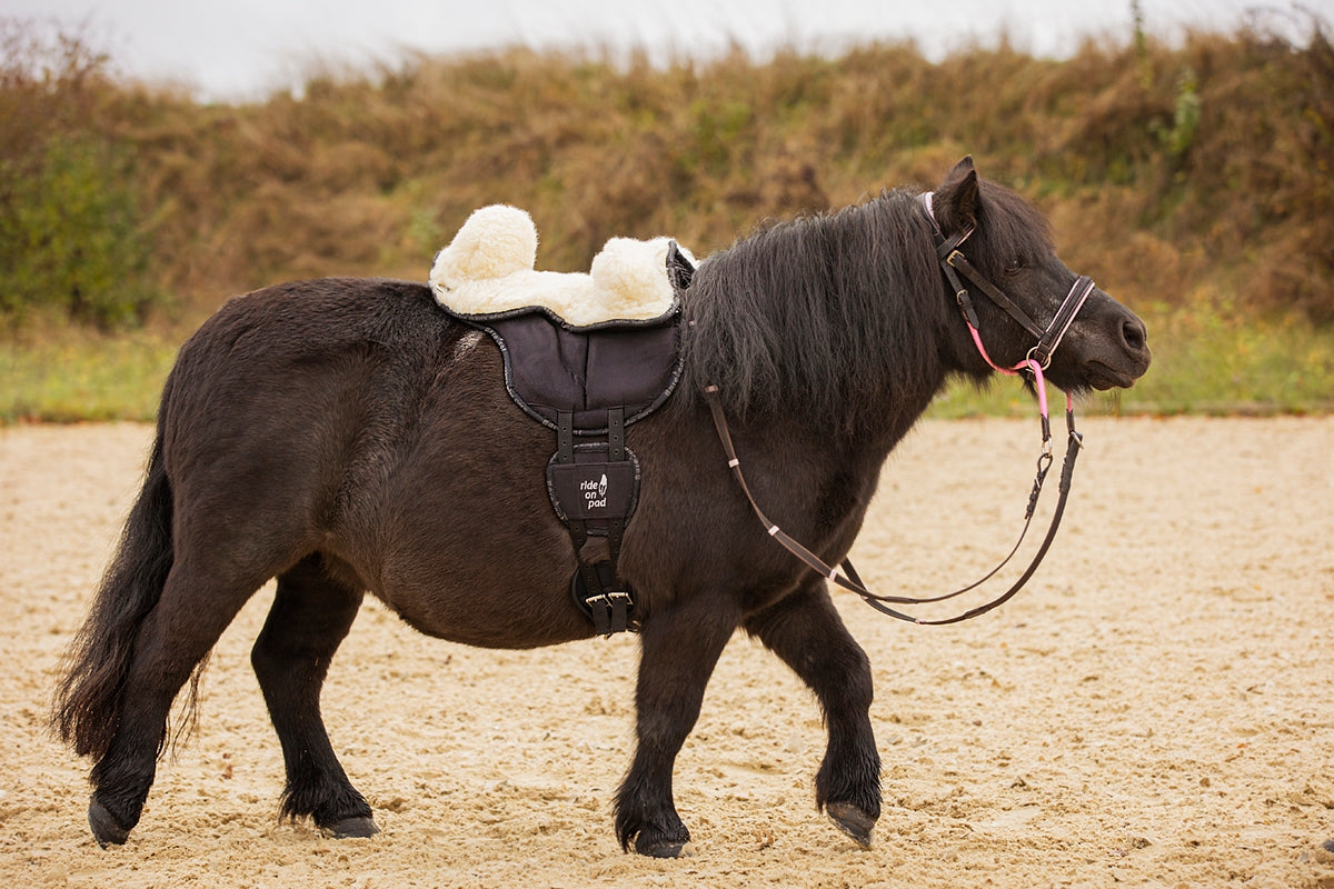 Barefoot Schafwoll-Sitz mit Pauschen für Reitkissen "Ride-On-Pad"
