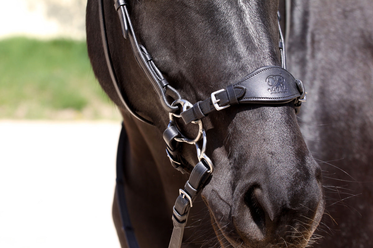 Barefoot Nasenriemen für Hackamore , Gebisslose Zäumung