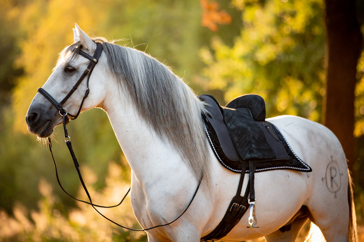 Barefoot® saddle model Madrid