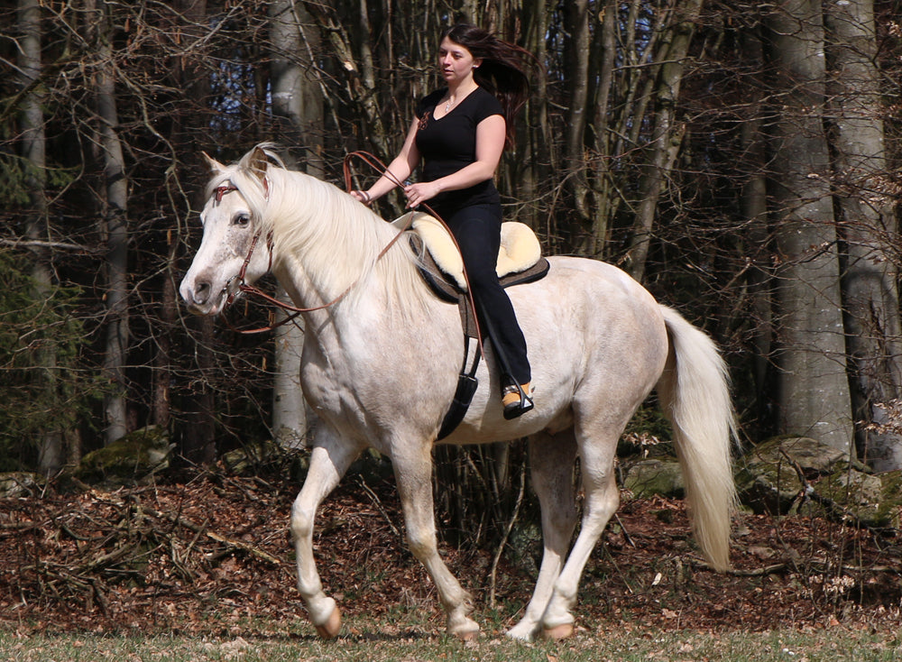 Grandeur Fellsattel "Tomentum Barock Pony" aus robustem Nadelflies
