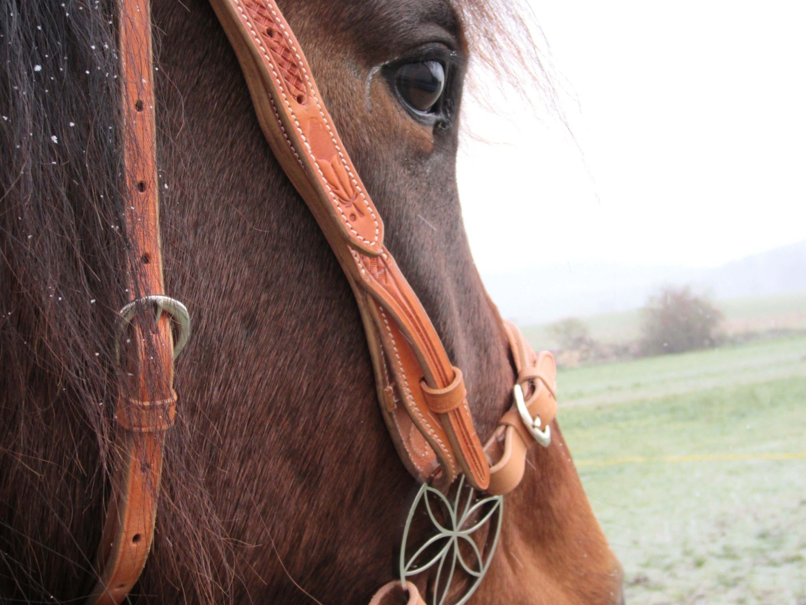Casque pieds nus « Virginia Rose »