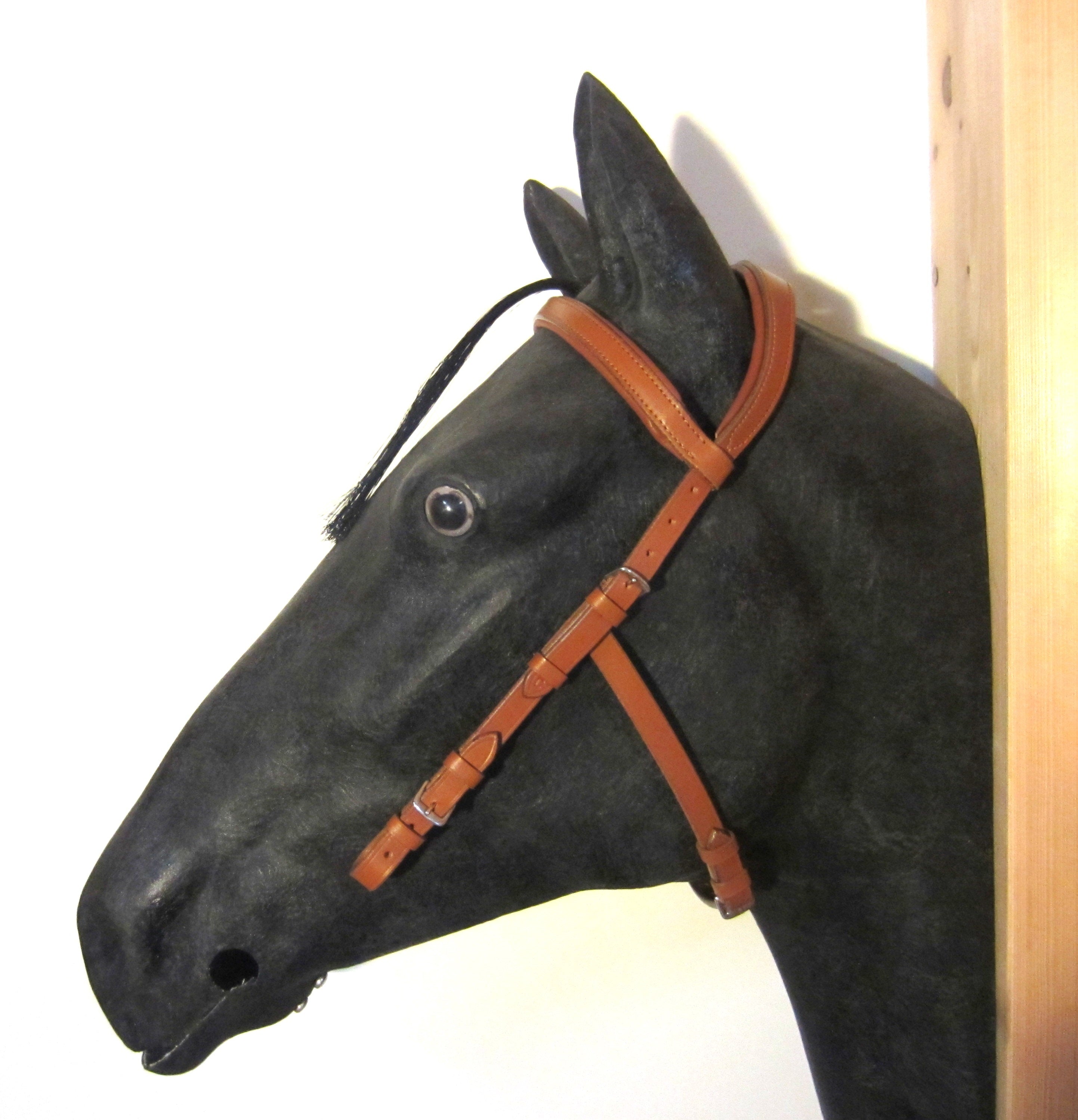 Headpiece - Anatomic Bridle "Arrimar" for bitless bridles & snaffles