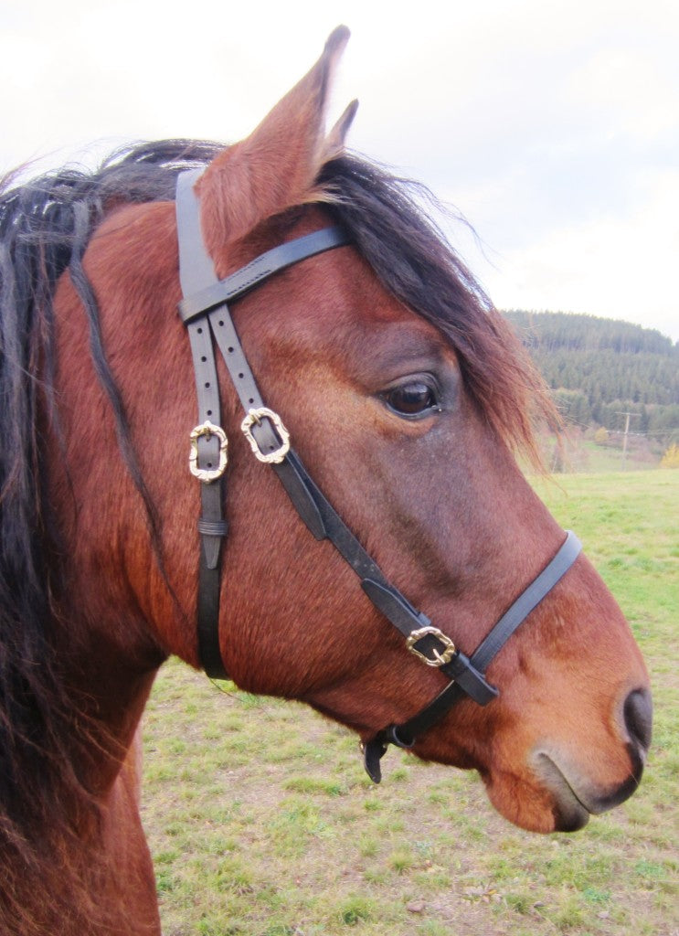 Portuguese Baroque bridle "Pasión" with freedom of ears