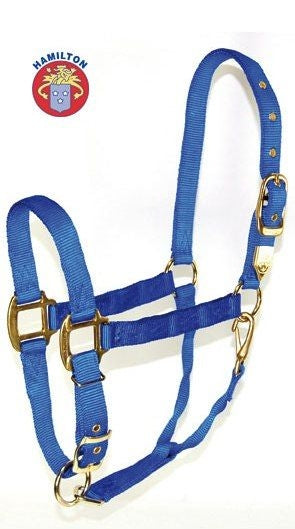Qualitätsstallhalfter von Hamilton "Premium" Gr. L - Average