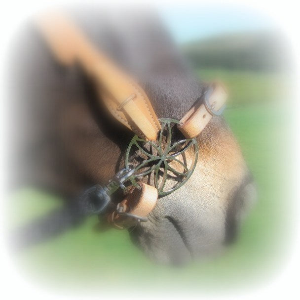 Bride de fleur - lys - jasmin - bride sans mors lily pony hackamore, bride sans mors - B-stock - paires simples