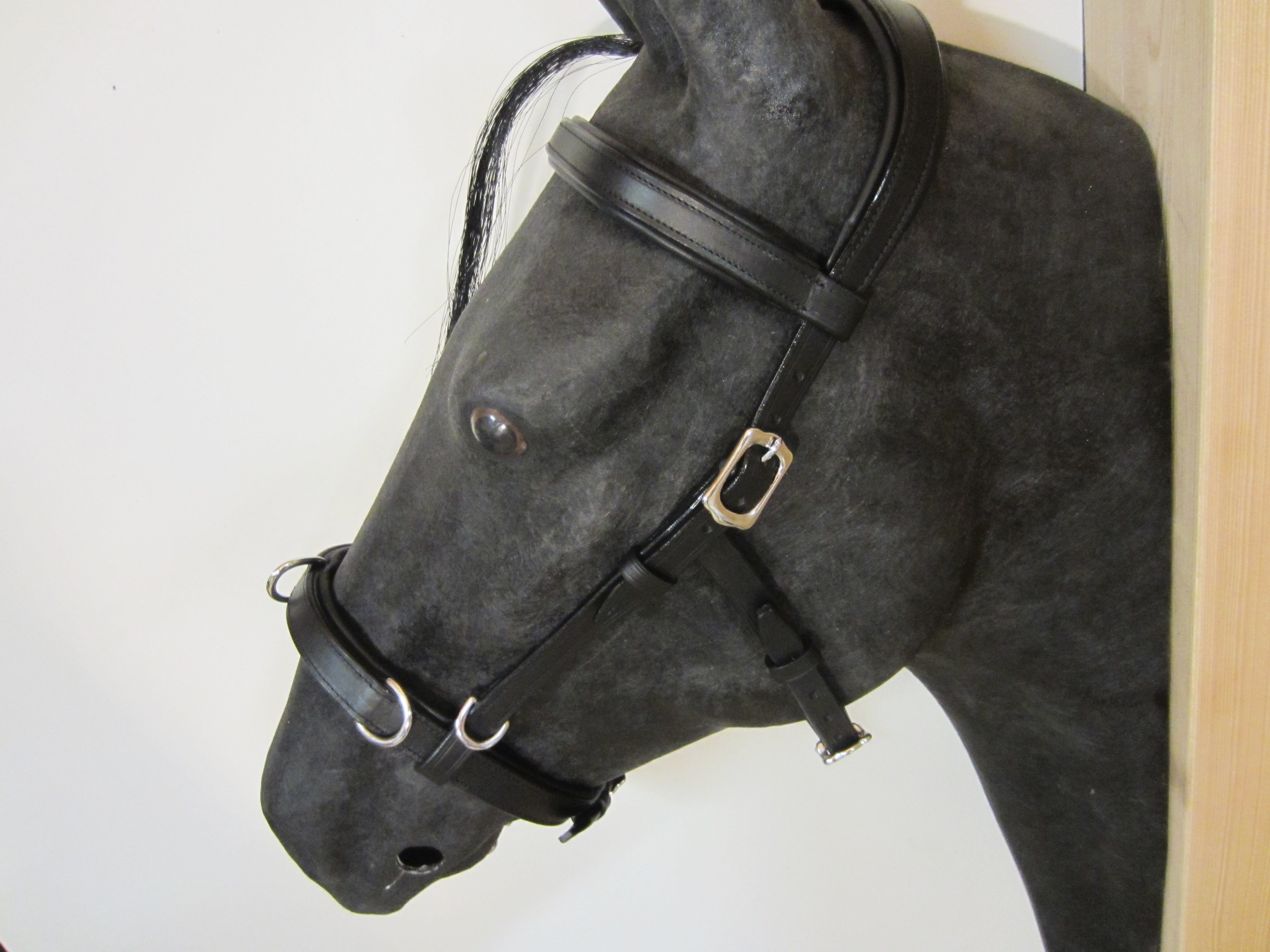Anatomically softly padded leather cavesson "Blando"