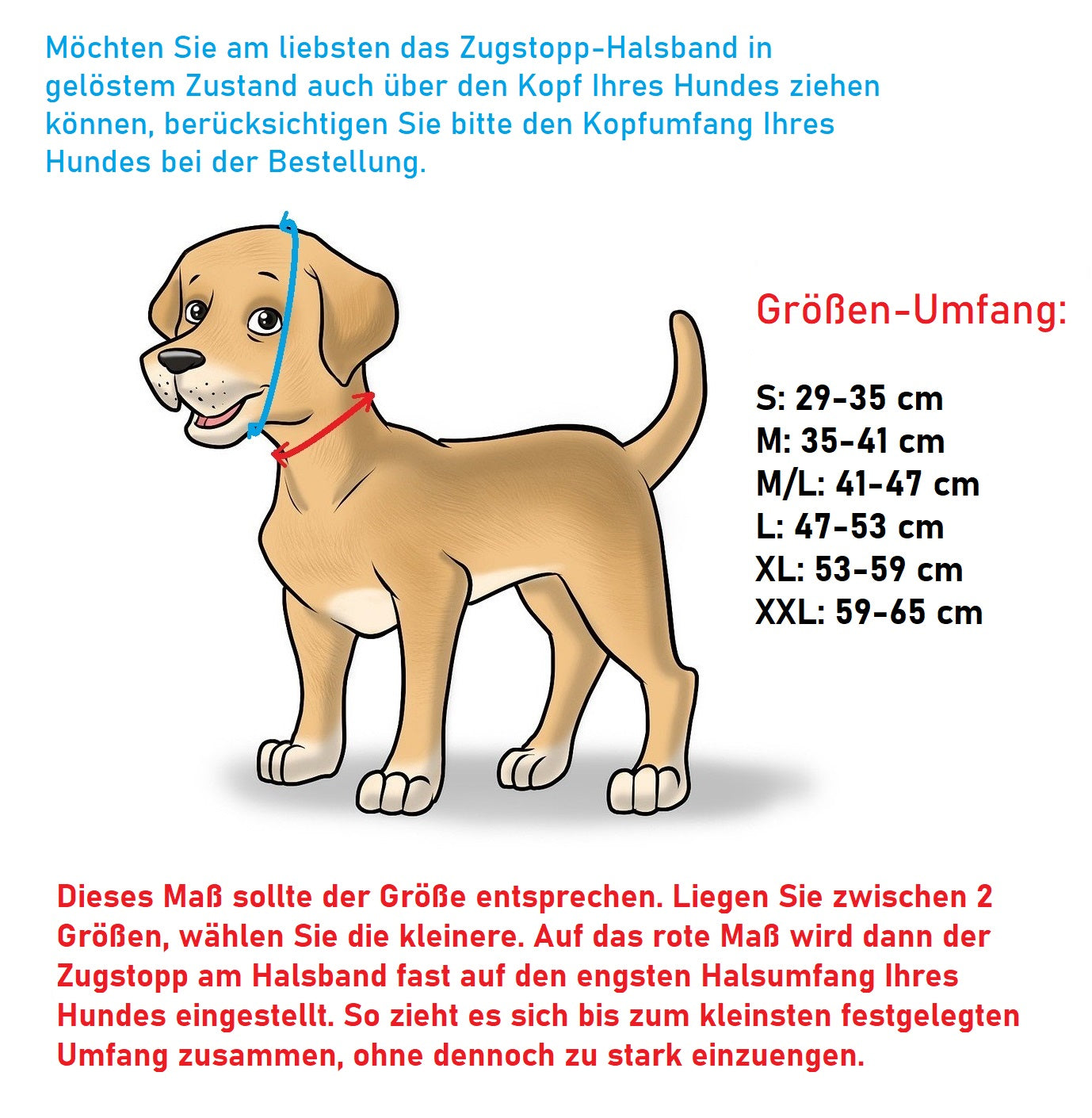 Collier pour chien en cuir plat avec arrêt de traction - cuir nappa rembourré