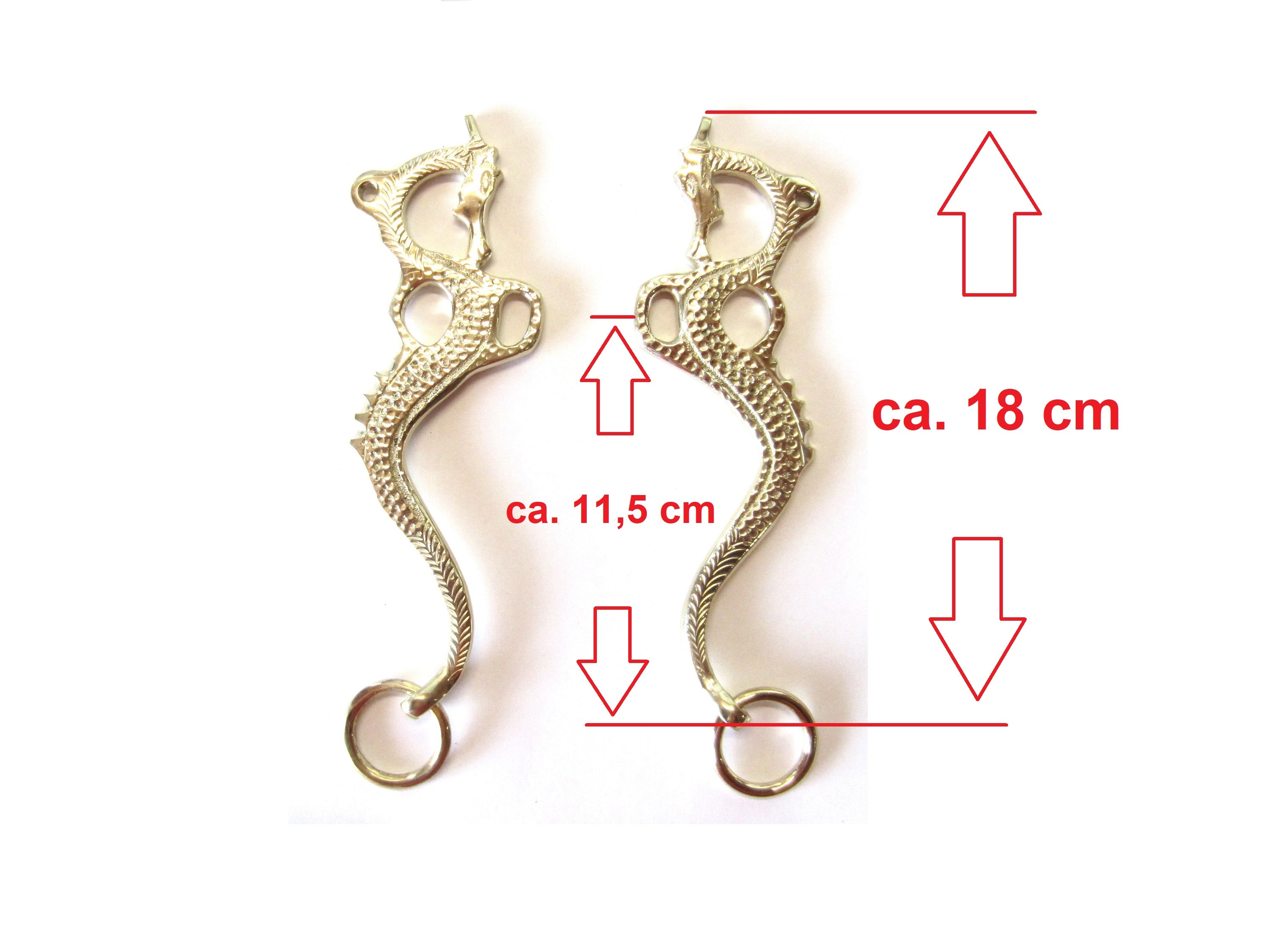 Hackamore "Dragon" couleur or ou argent - 1 paire de cuisses décorées