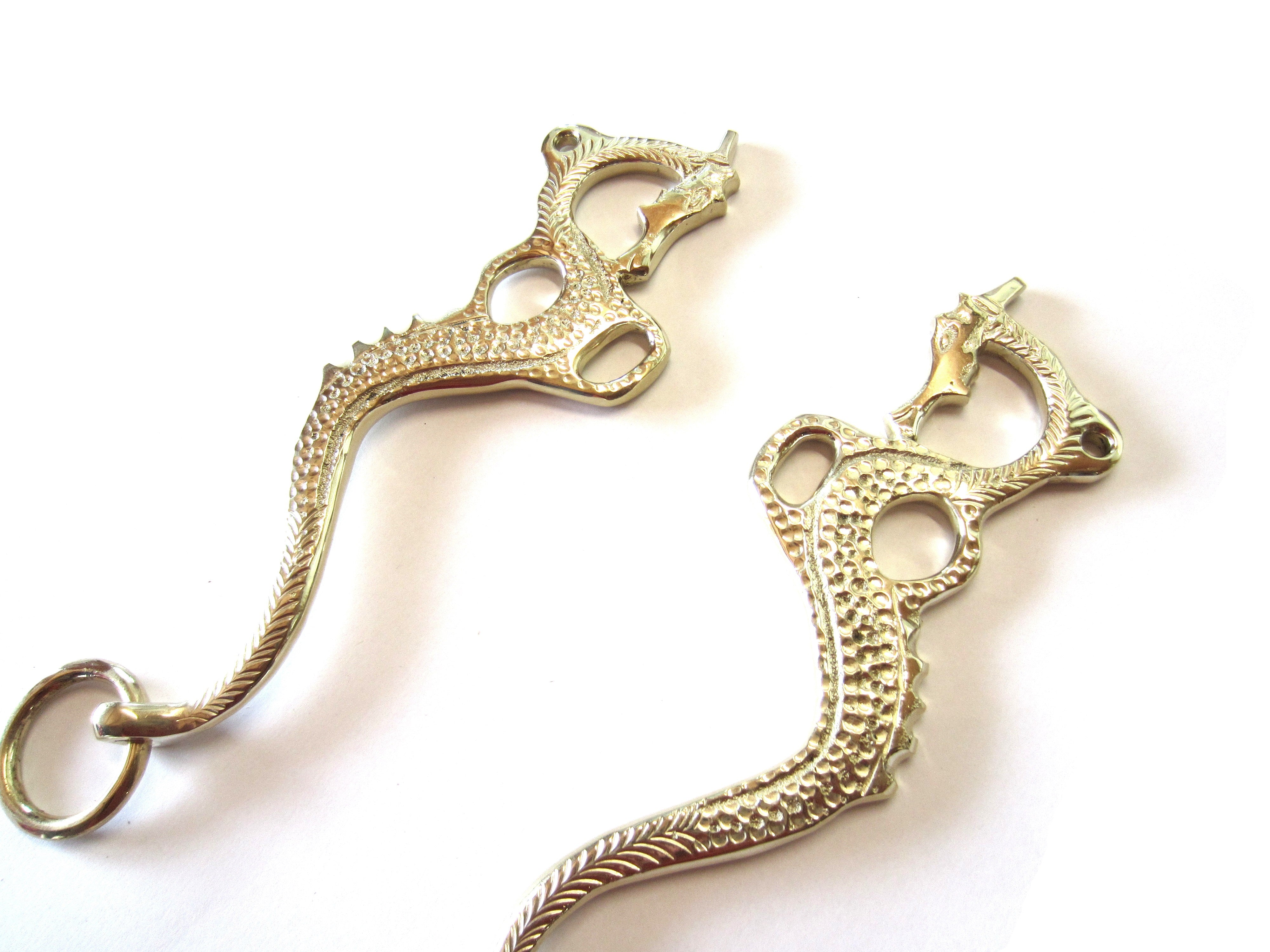 Hackamore "Dragon" couleur or ou argent - 1 paire de cuisses décorées