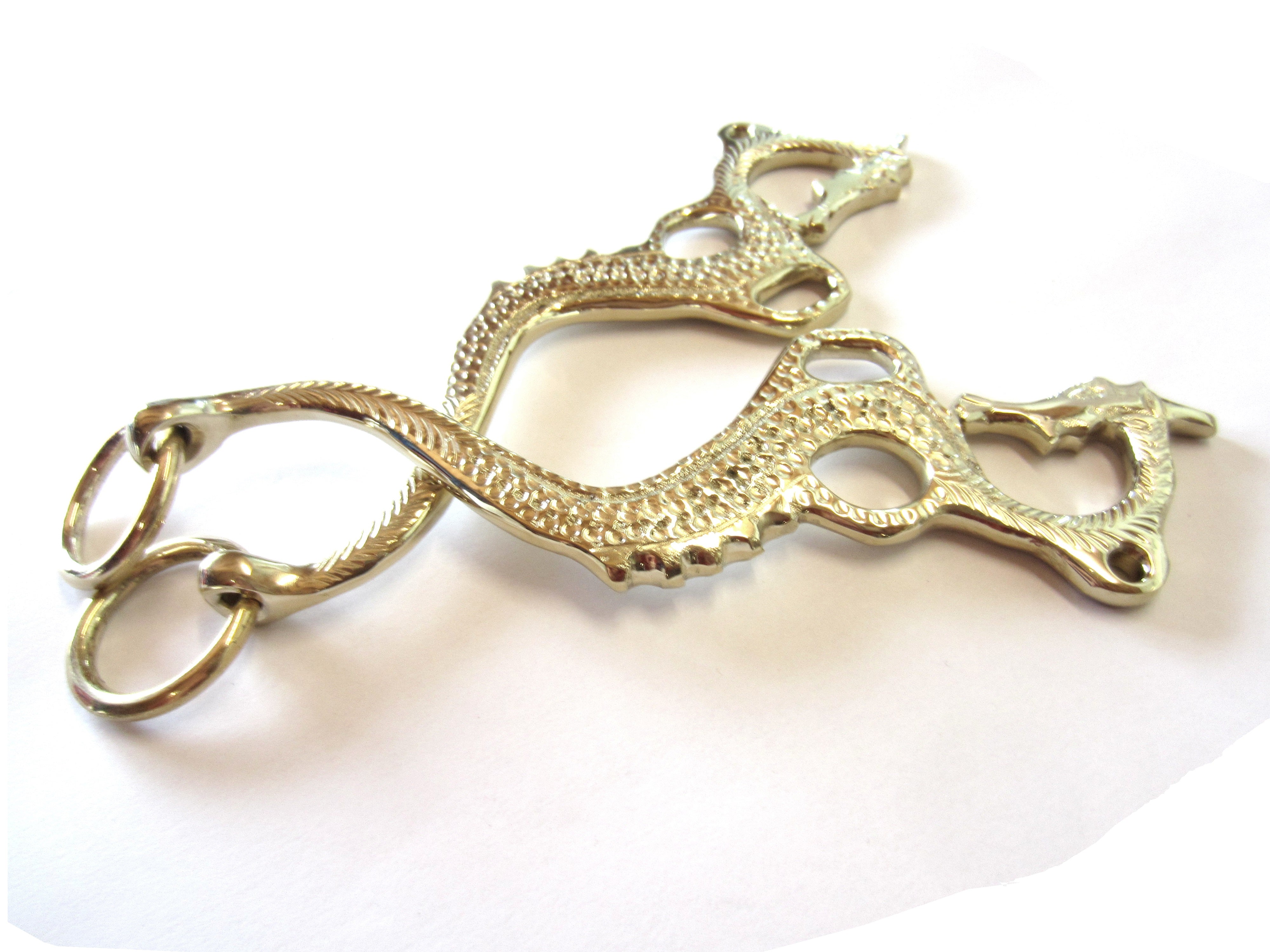 Hackamore "Dragon" couleur or ou argent - 1 paire de cuisses décorées