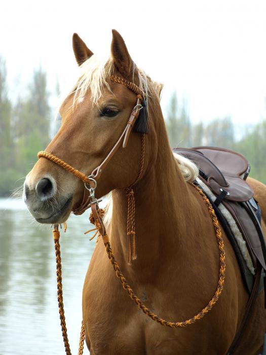Casque pieds nus "Amber" 2-en-1
