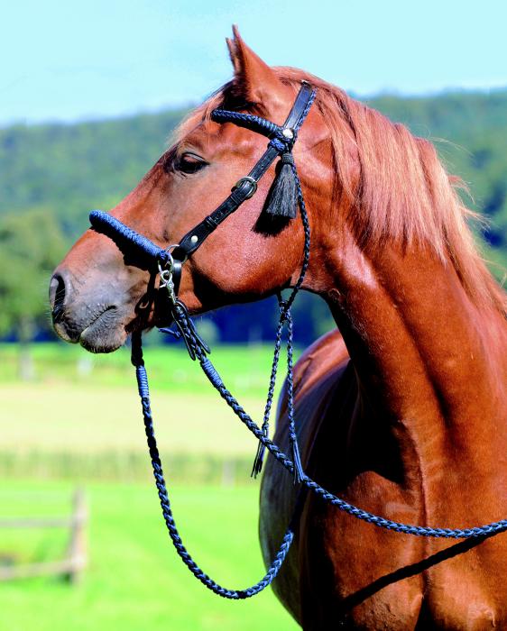 Casque pieds nus "Amber" 2-en-1