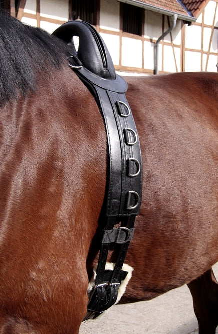 Barefoot Longiergurt "Save-My-Spine" Leder