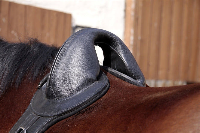 Barefoot Longiergurt "Save-My-Spine" Leder