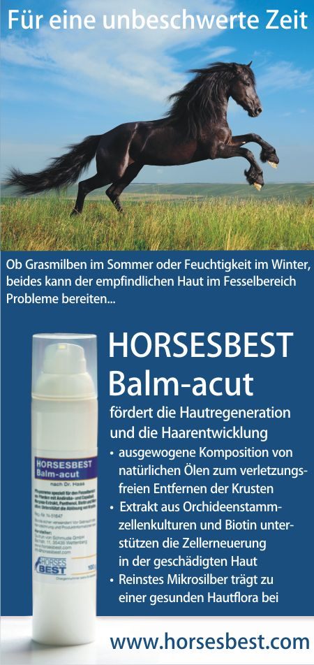 HORSESBEST® Balm-acut, krustenlösender Pflegebalsam z.B. bei Mauke, 100 g