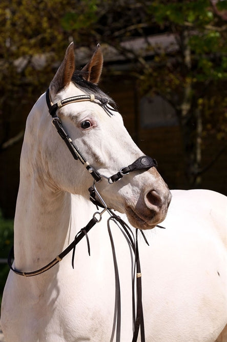 Casque pieds nus « Oaklet »