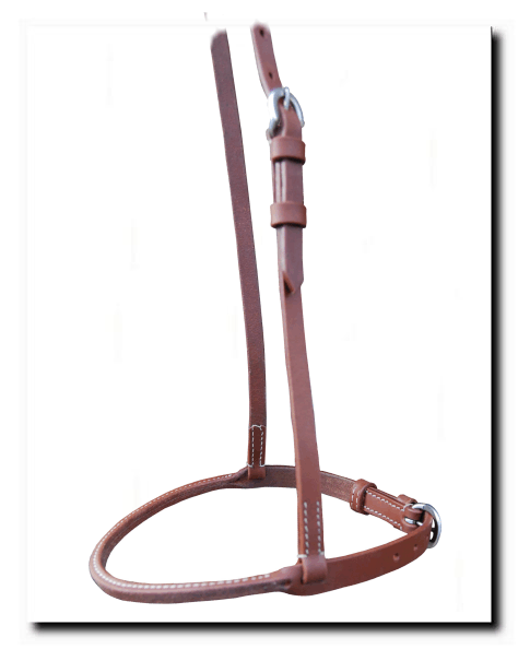 Mouthcloser Harness 1545