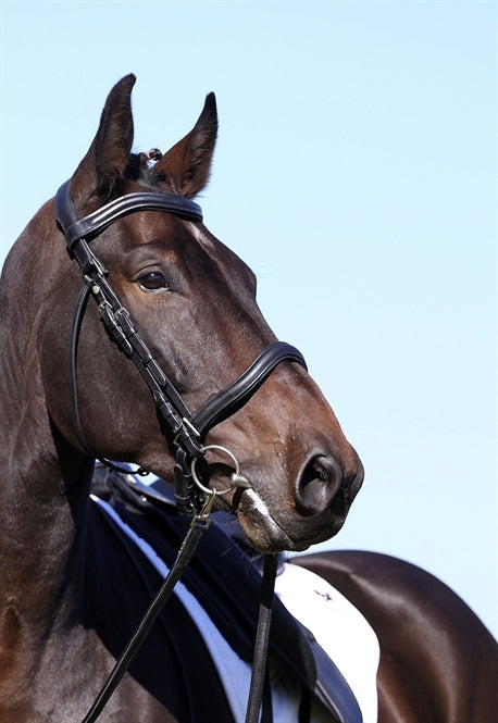Casque 2-en-1 Barefoot 'WELlington Contour'