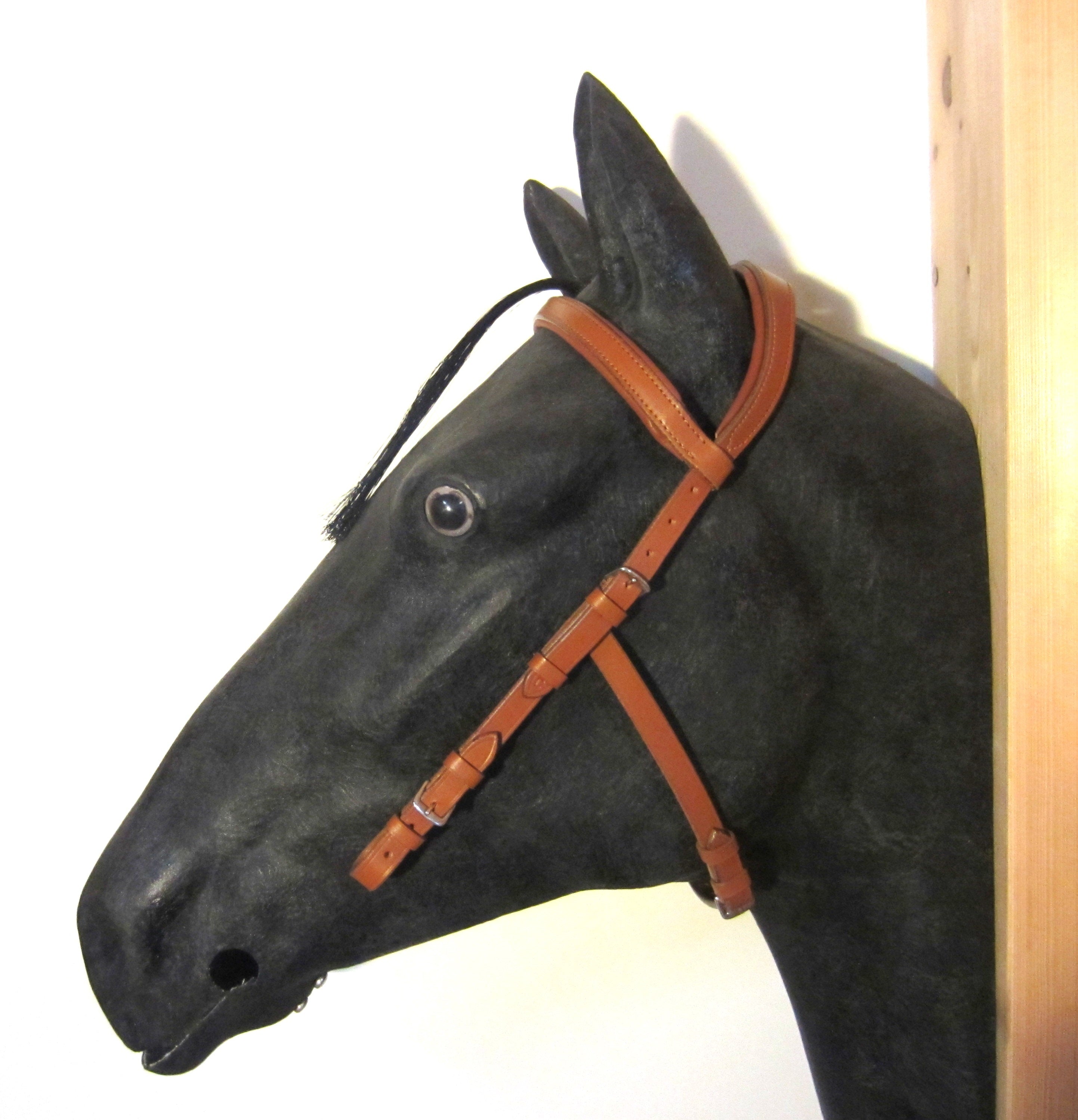 Einzelstück - B-Ware Kopfstück - Anatomic Bridle "Arrimar" für Gebisslose Zäumungen & Trensen