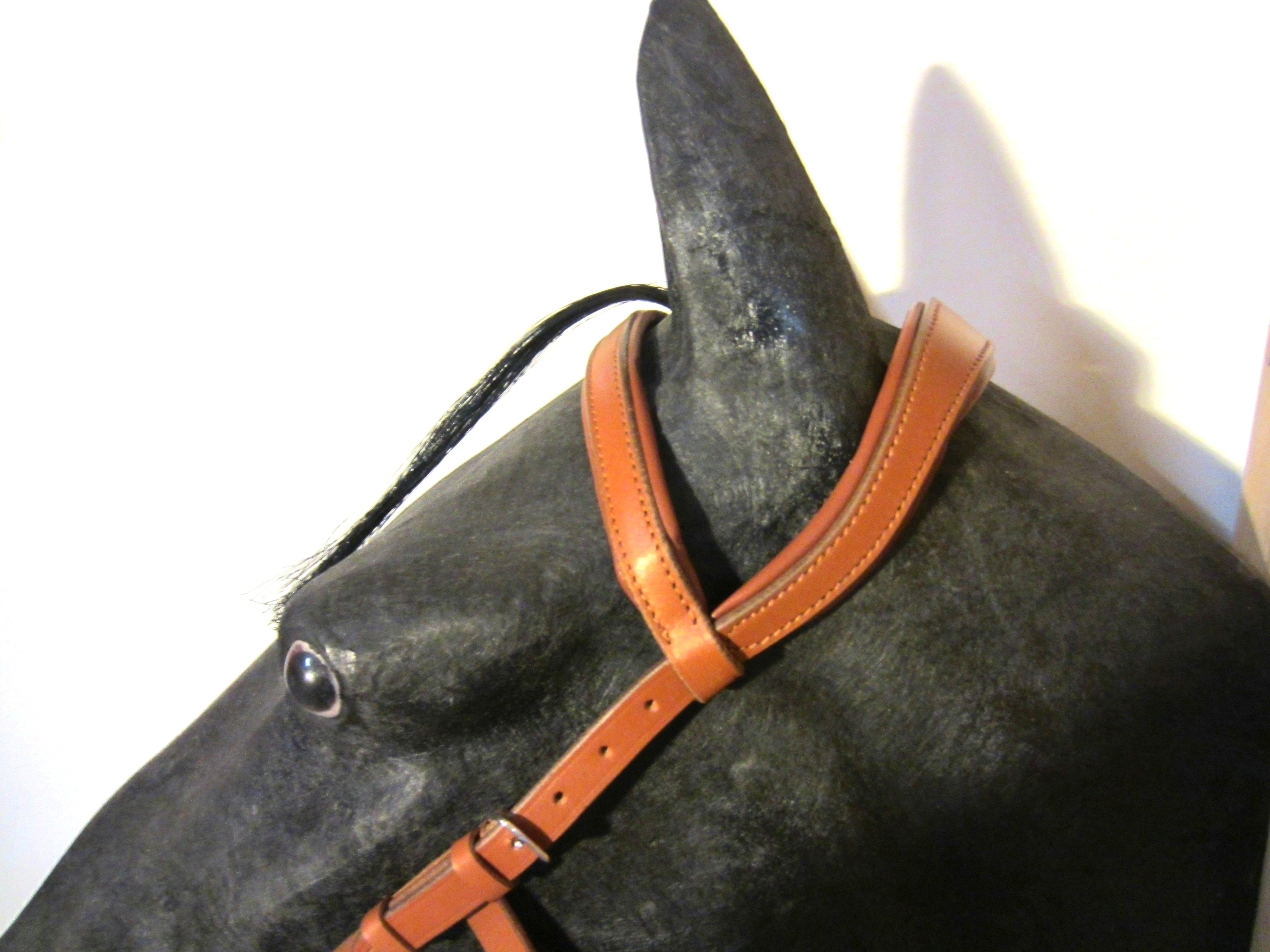 Einzelstück - B-Ware Kopfstück - Anatomic Bridle "Arrimar" für Gebisslose Zäumungen & Trensen