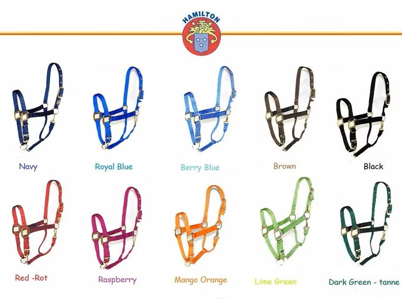 Quality stable halter from Hamilton "Premium" size. L - Average