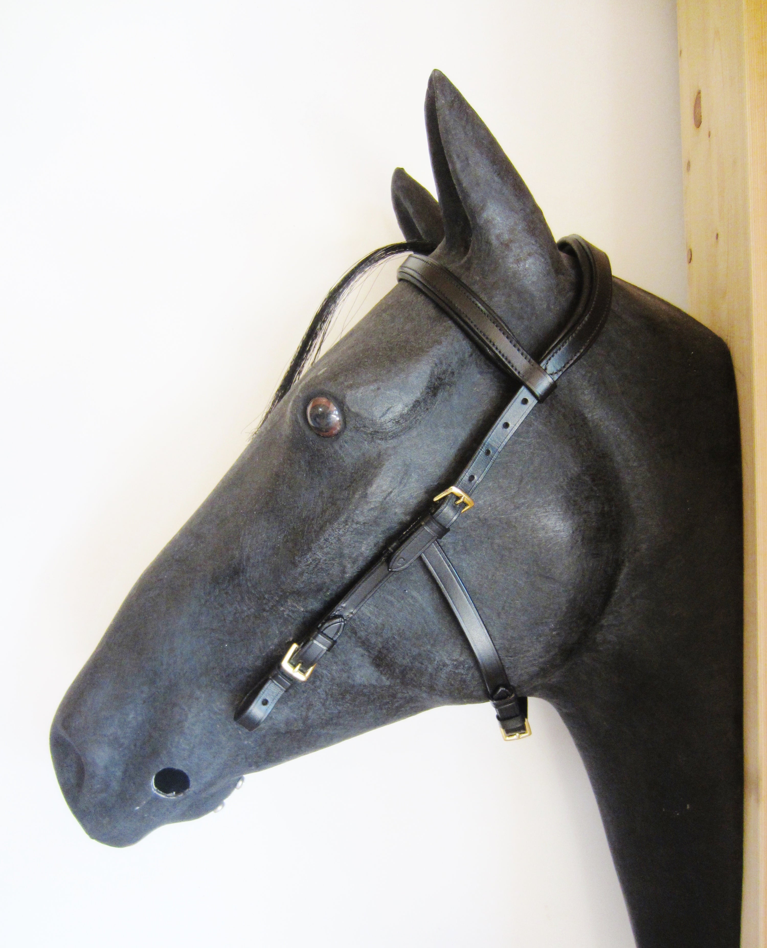 Single piece Anatomic Bridle "Arrimar GOLD Edition" for bitless bridles &amp; snaffles