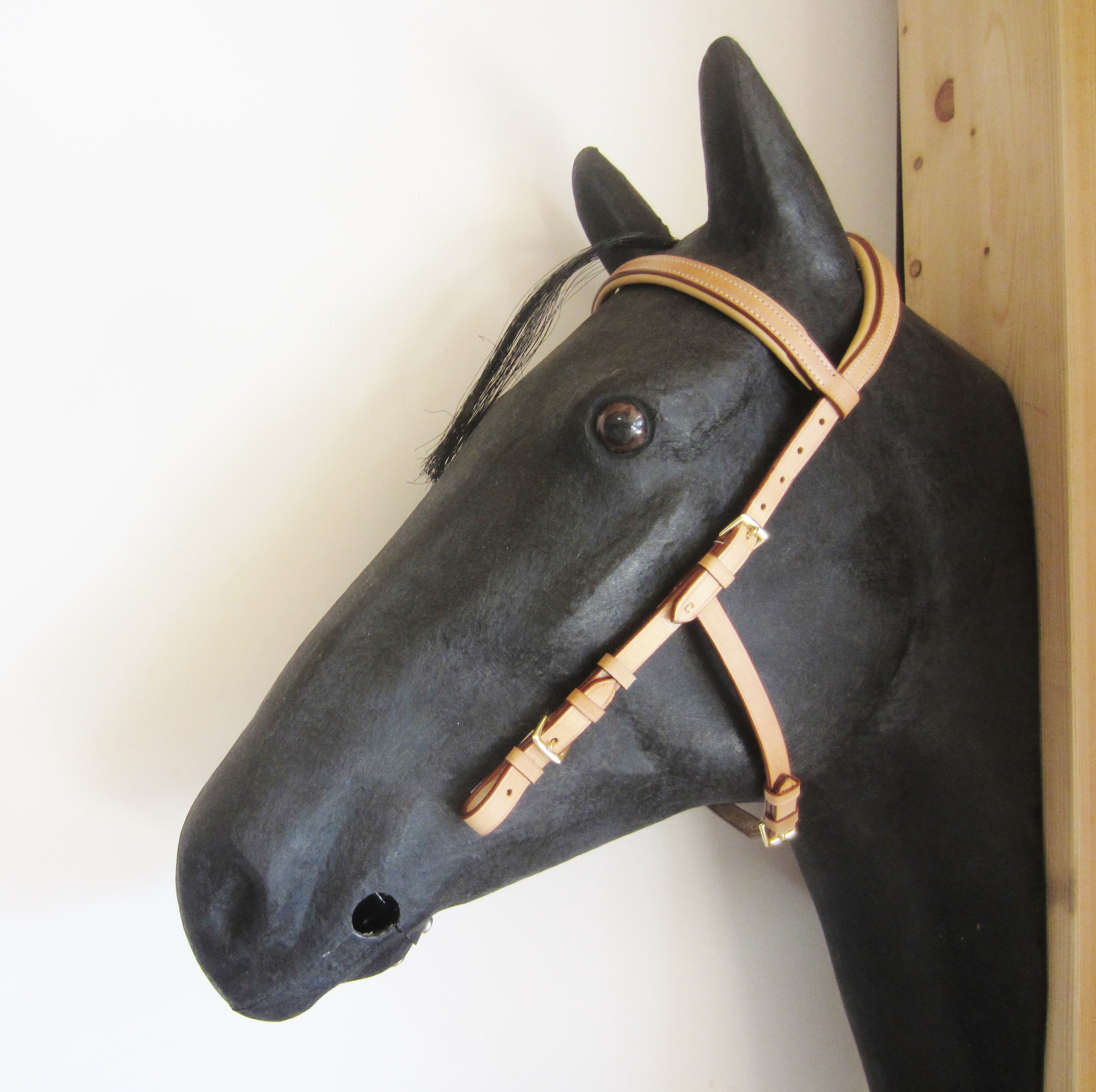 Single piece Anatomic Bridle "Arrimar GOLD Edition" for bitless bridles &amp; snaffles