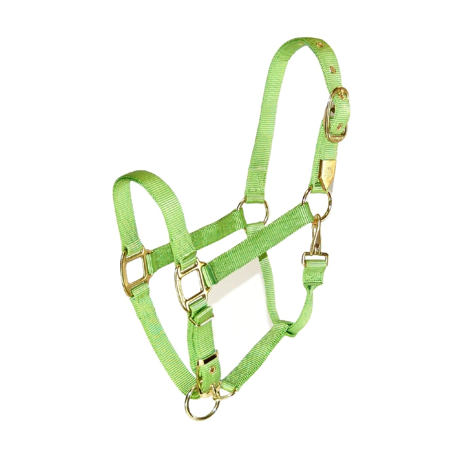 Licol Cheval Hamilton Nylon 2.5cm - Rouge - Taille Yearling/Âne Licol Cheval Hamilton Nylon 2.5cm - Rouge - Taille Yearling/Âne