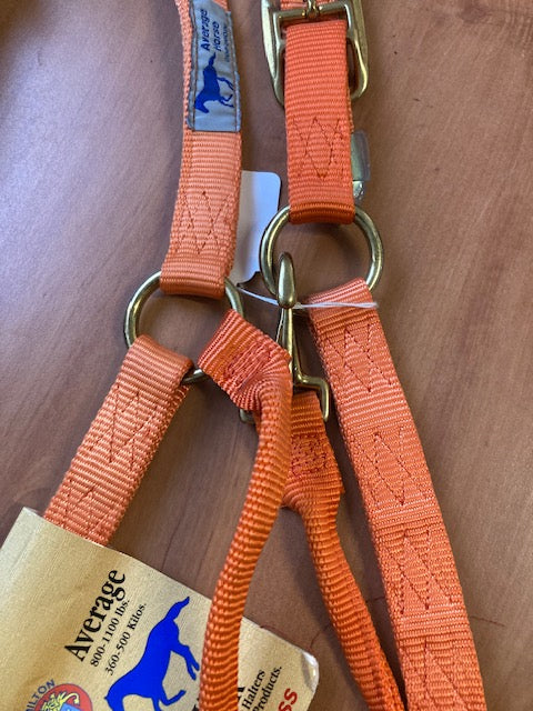 Einzelstücke - Qualitätsstallhalfter von Hamilton "Premium"