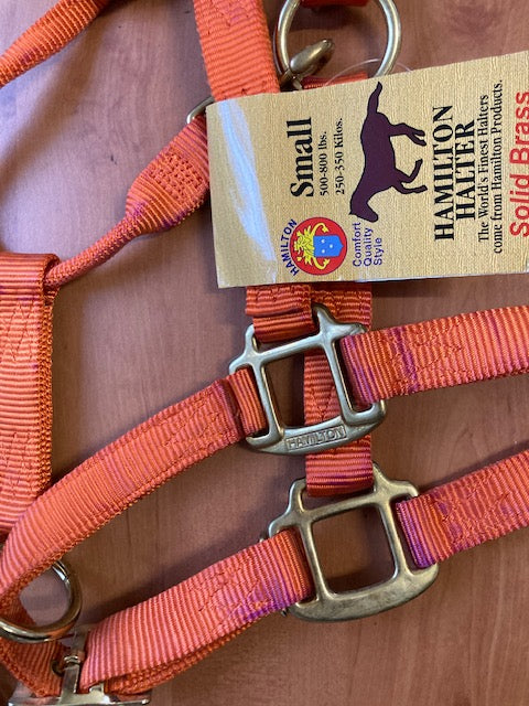 Einzelstücke - Qualitätsstallhalfter von Hamilton "Premium"