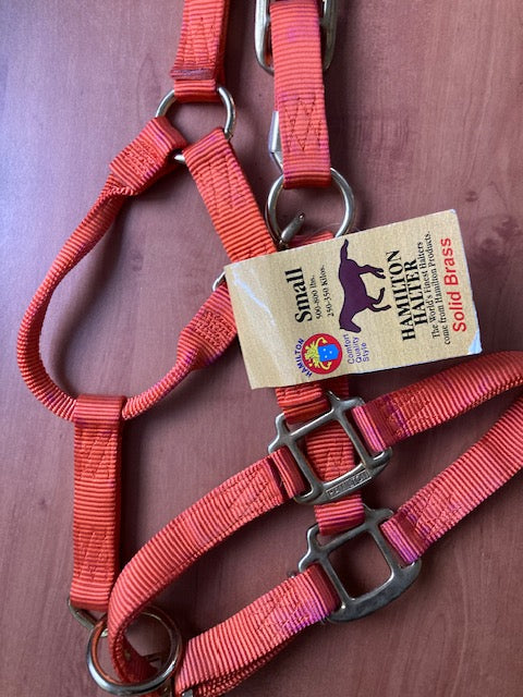 Einzelstücke - Qualitätsstallhalfter von Hamilton "Premium"