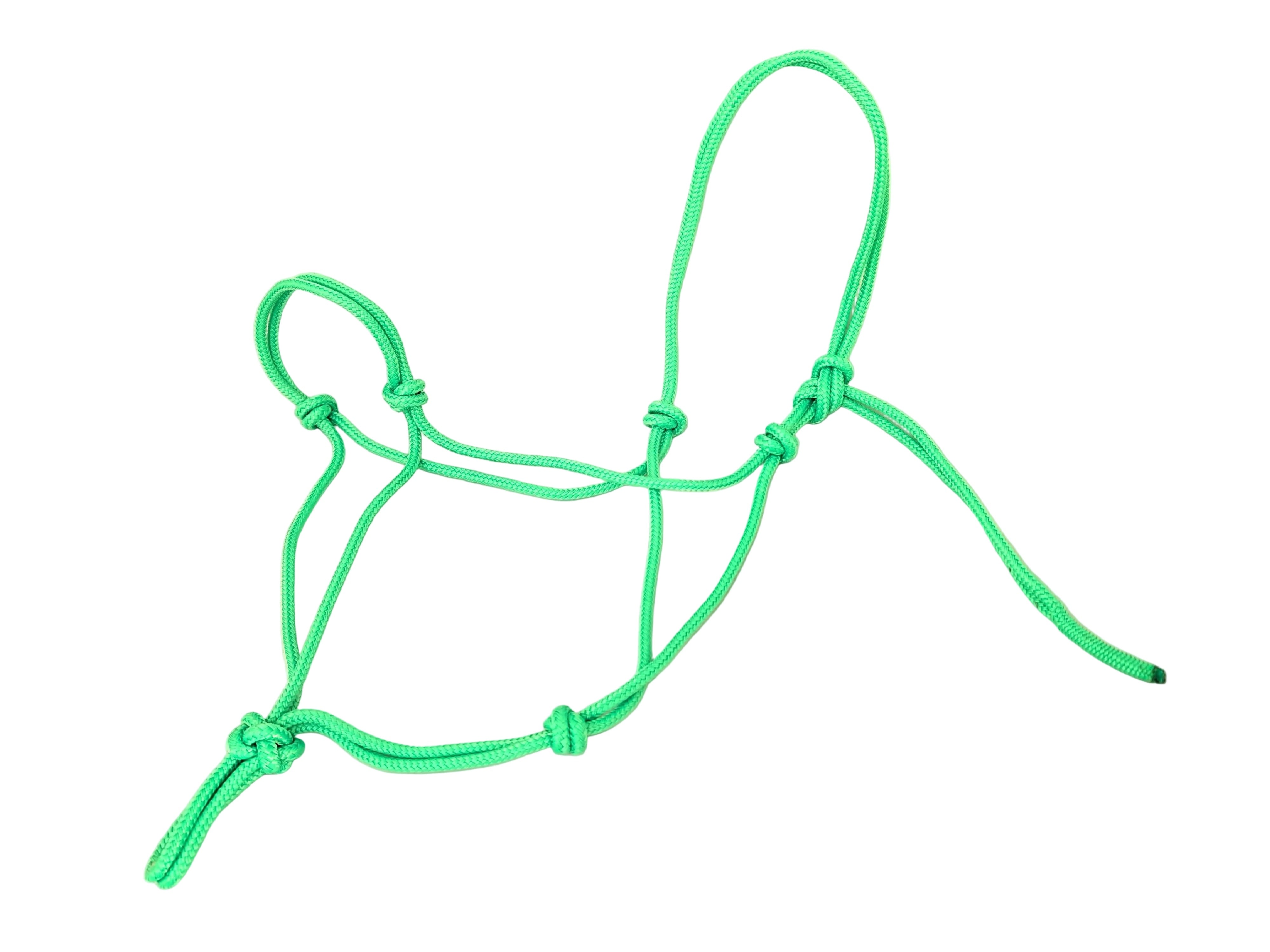 Knot halter professional - neon pink - sale