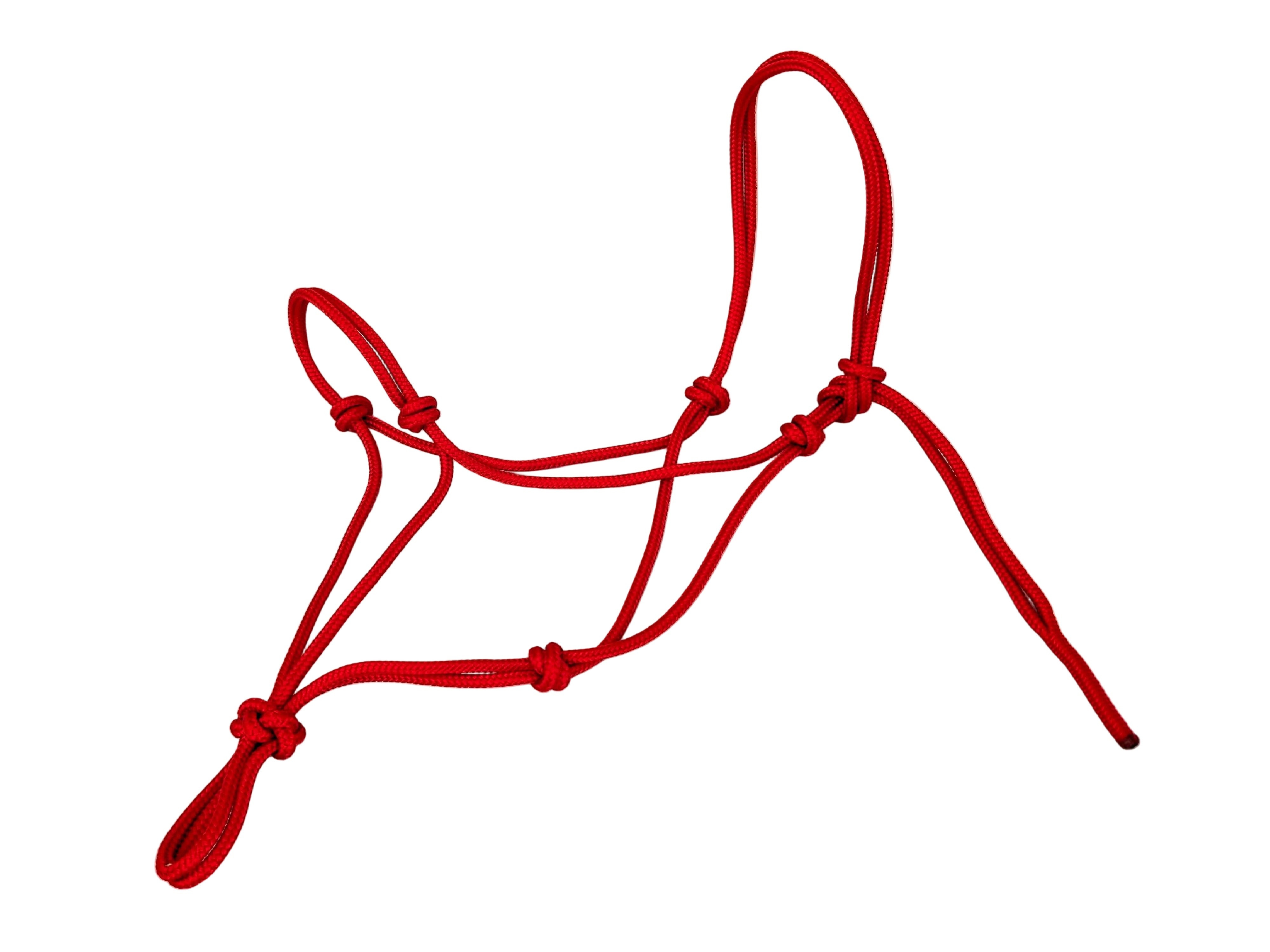 Knot halter professional - neon pink - sale