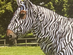 Einzelstück - Anti-Ekzem Fliegenmaske Equitheme