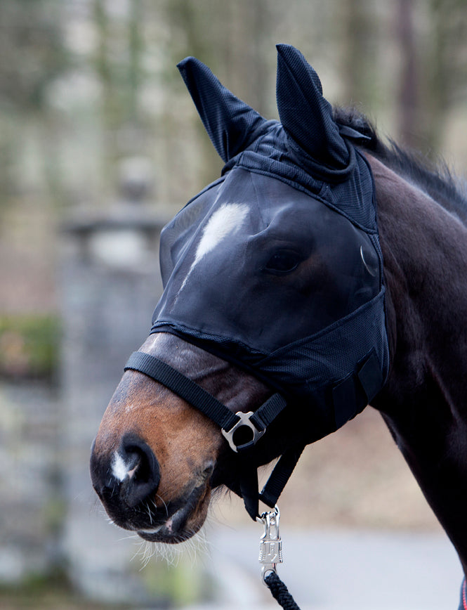 Fly face mask, fly mask fly protection