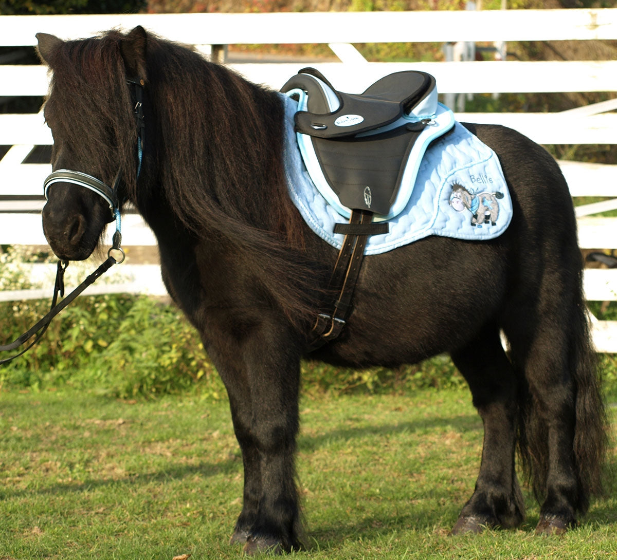 Children's saddle "Cheyenne DRY TEX" Bellis or Barry 