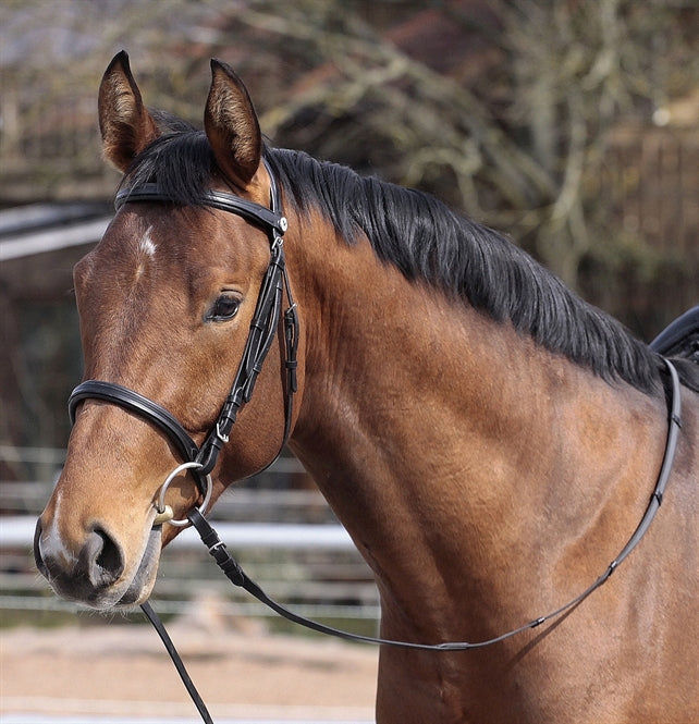 Barefoot headstall or bridle - Devon - sales only while stocks last! 