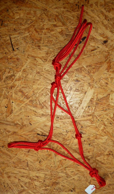 Knot halter professional - red