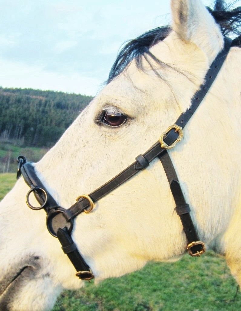 Französischer Kappzaum Cavesson mit D-Ringen "SOFT"  - Einzelstücke -