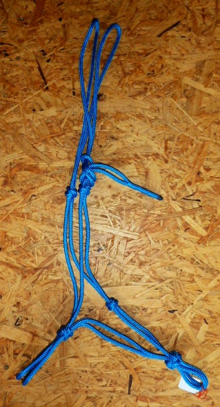 Licol à nœud professionnel - bleu