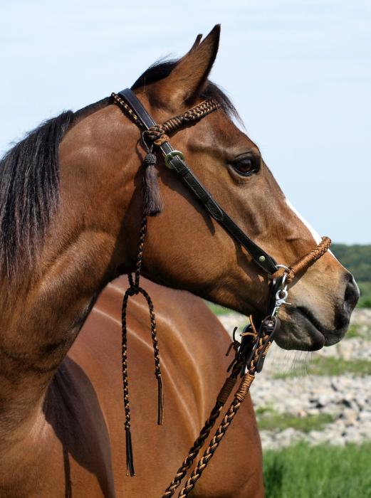 Casque pieds nus "Amber" 2-en-1